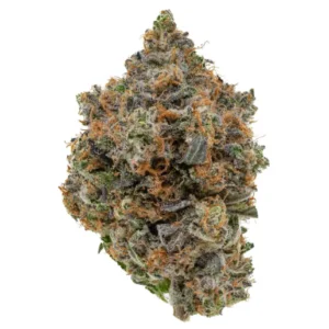 buy OG kush weed in dubai