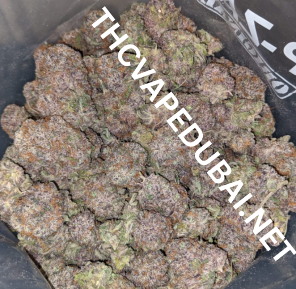 buy grandaddy purple weed in dubai